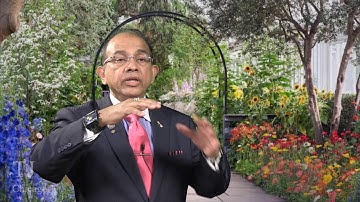 Changing Your "Status Quo"    by TJ