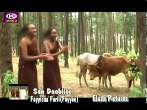 Fayyisaa Furii   San Daabilee Oromo Music