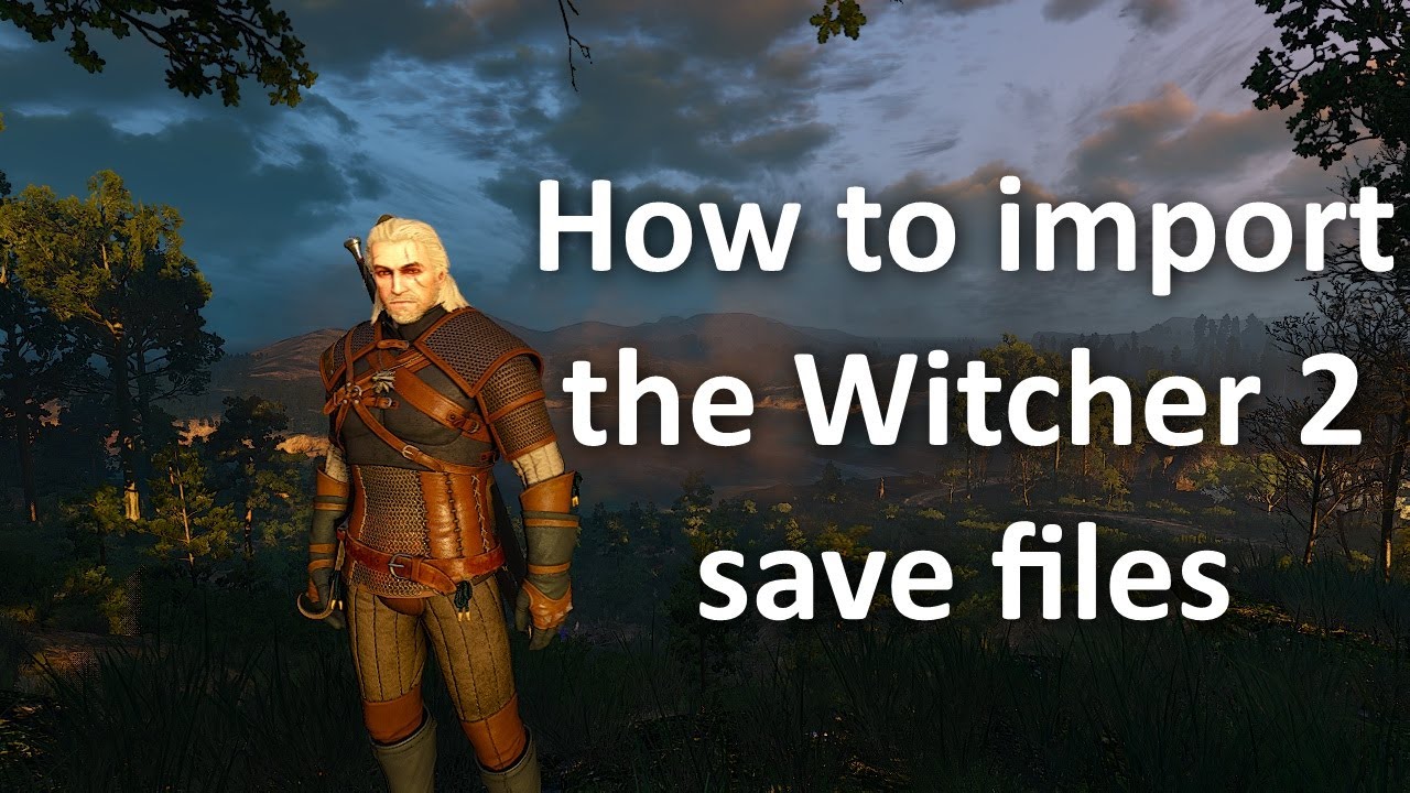 The Witcher 3 simulate save: Should you simulate a Witcher 2 save in The  Witcher 3?