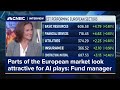 Parts of the European market look very attractive for AI plays, fund manager says