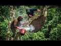 Why This Ancient Honey Harvesting Method is So Dangerous