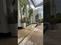 Zanzibar Luxury Resort Verde Azam Shorts Tiktok Tanzania Africa