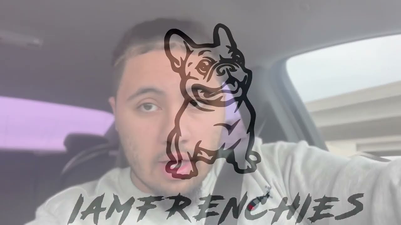 Breeding frenchies step by step YouTube