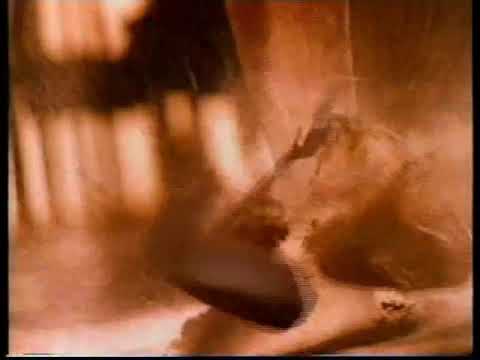 1995 商業廣告 喜力