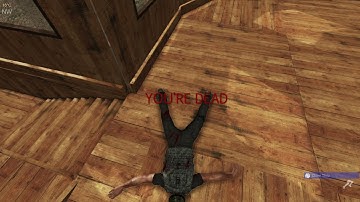 Subsistence Shorts - More Bear Antics