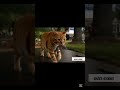 The heart touching story of cat and mouse.#aiart #viral