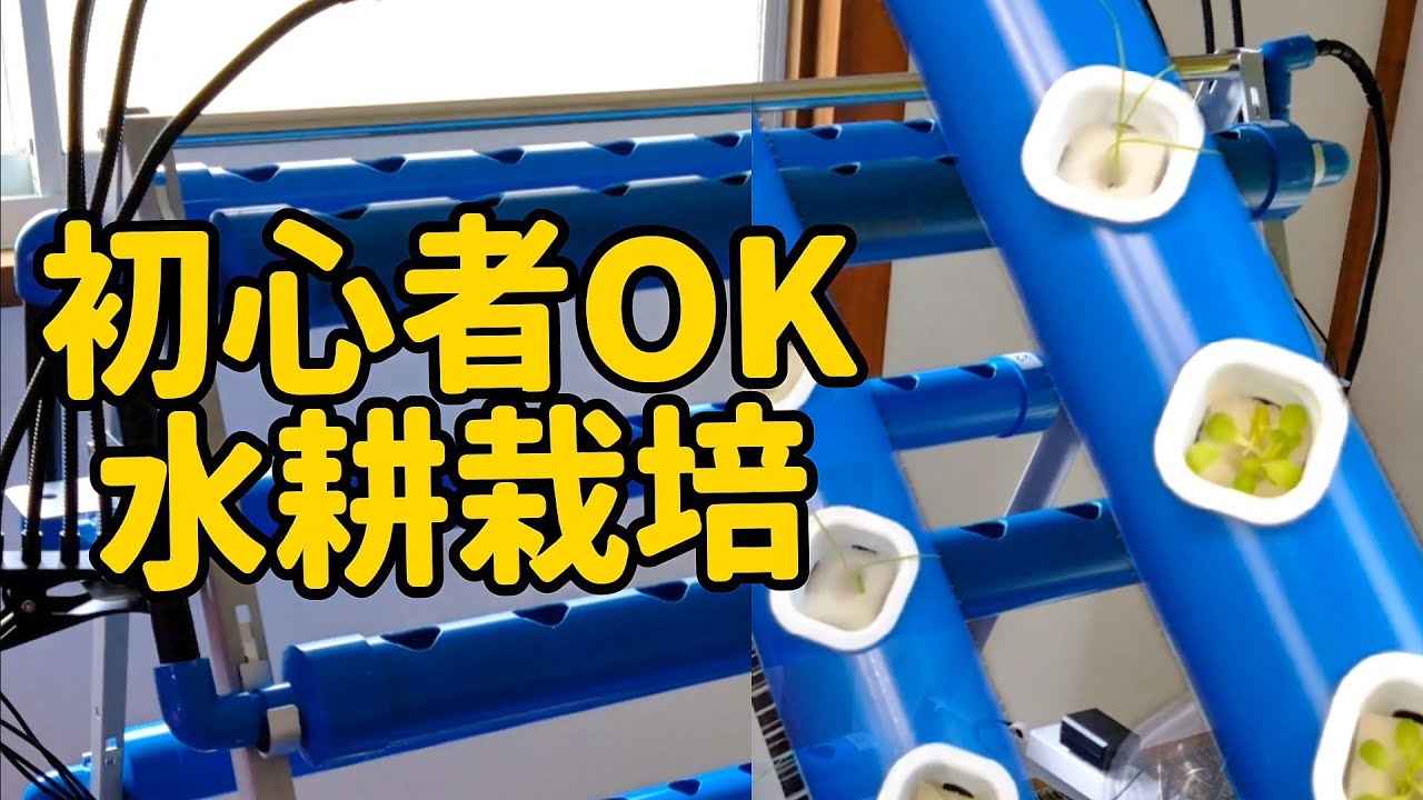 初心者でも失敗しない水耕栽培キットの始め方 完全手順 組み立てから
