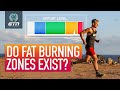 Do Fat Burning Zones Exist? | Using Fat As Fuel During Exercise