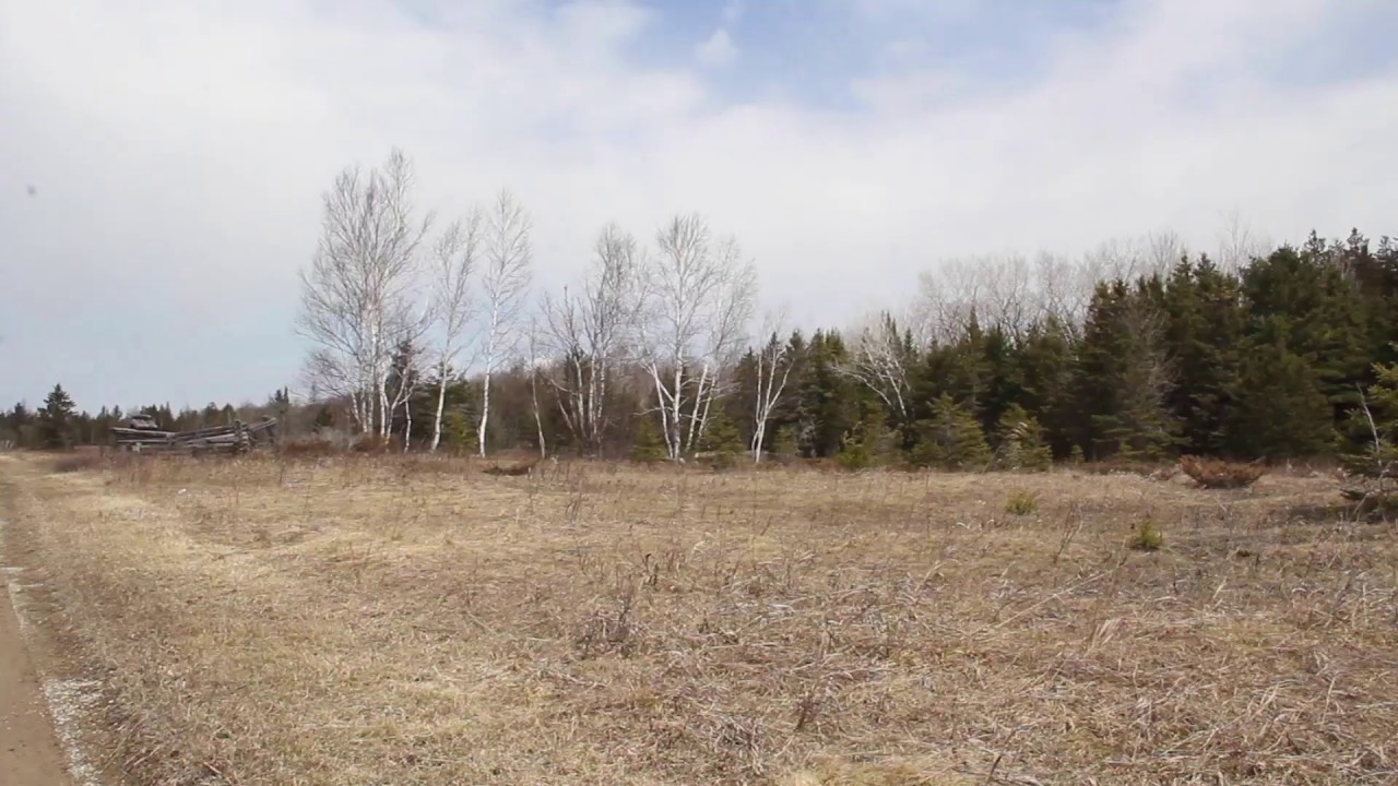 Turkey Ranch Road, Drummond Island, MI Acreage for Sale YouTube