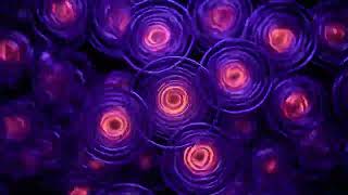 4K VJ Loop — Neon Plasma Bloom Visuals for Dark Techno Sets