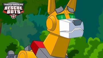 Careful Servo! 🐕🤖 Kids Cartoon | Transformers Rescue Bots | Transformers TV |