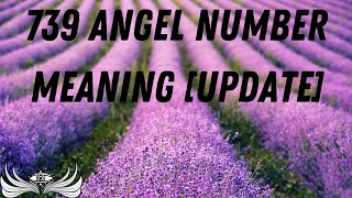 739 Angel Number Meaning 🏜 [Update]