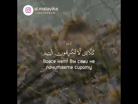 Muslim Ali Kecholmayman Klip Skachat