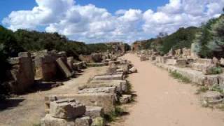 Selinunte Selinus City Street