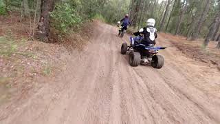 Croom Quad Vs Tree