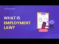 What is Employment Law | Introduction To Employment Law Under 2 Minutes! | The Knowledge Academy