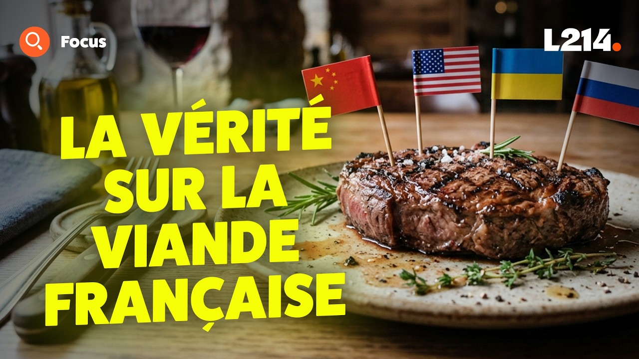 Les 7 dépendances cachées de la viande française (vous allez être surpris)