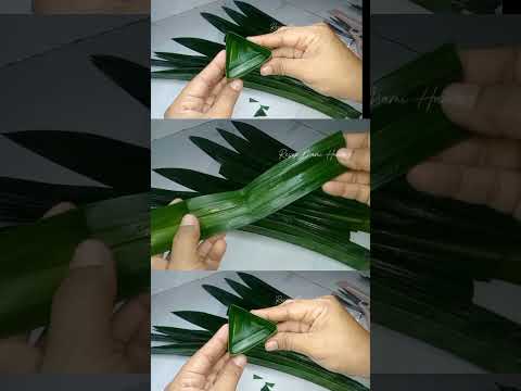 CARA MEMBUAT TAKIR SEGITIGA DARI DAUN PANDAN