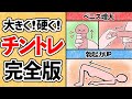 チントレ完全攻略マップ:大きく硬くする方法5選