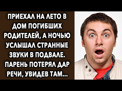 Приехал на лето в дом родителей, а ночью услышал странные звуки в подвале…