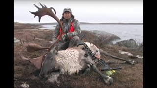 TWO GIANT BULLS DOWN!  Quebec Archery Caribou With Bob Fromme