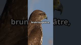 Découvrez la Buse variable en 60 secondes!