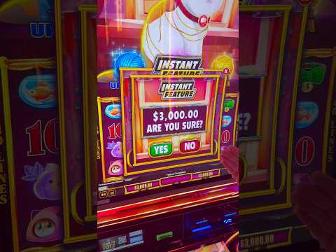 Doing a $3000 Bonus Buy!