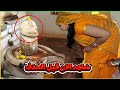 الخرافات التي لا توجد إلا في الهند عبادة الرموز الجنسية والآلهة العجيبة