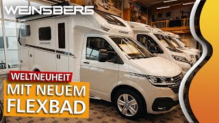 WEINSBERG X-CURSION VAN 