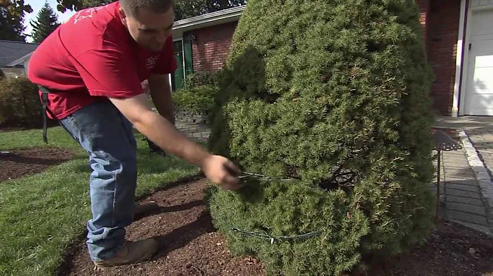 HouseSmarts "Outdoor Holiday Decorating" Episode 128