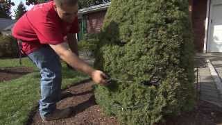 HouseSmarts "Outdoor Holiday Decorating" Episode 128
