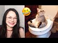 Funniest Cats And Dogs  😸🥰  - Funny Animals Videos 🐶
