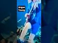 Angus Young Shredding In 1983 Detroit