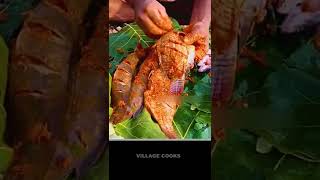 Caught Fishes In Lake & Roasting Them Village Cooks Fish
