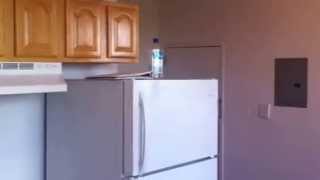 Bedford Stuvesant Apartments | Fulton St. 2bd/1ba $1225 | Apartments for rent in Brooklyn