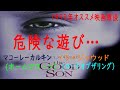 「危険な遊び」～the good son～雑談 マコーレーカルキン イライジャウッド