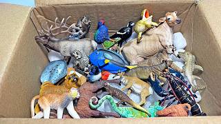 Unboxing New Animals Toys - Blue Wren, Chow Chow, Macaque, Jersey Cow, Lobster, Parsons Chameleon