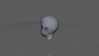 Head Wireframe on Shaded