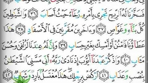 مصحف التجويد صفحة 455 ابراهيم الأخضر