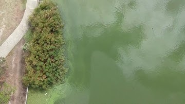 Spark Pro Waypoint flight edited