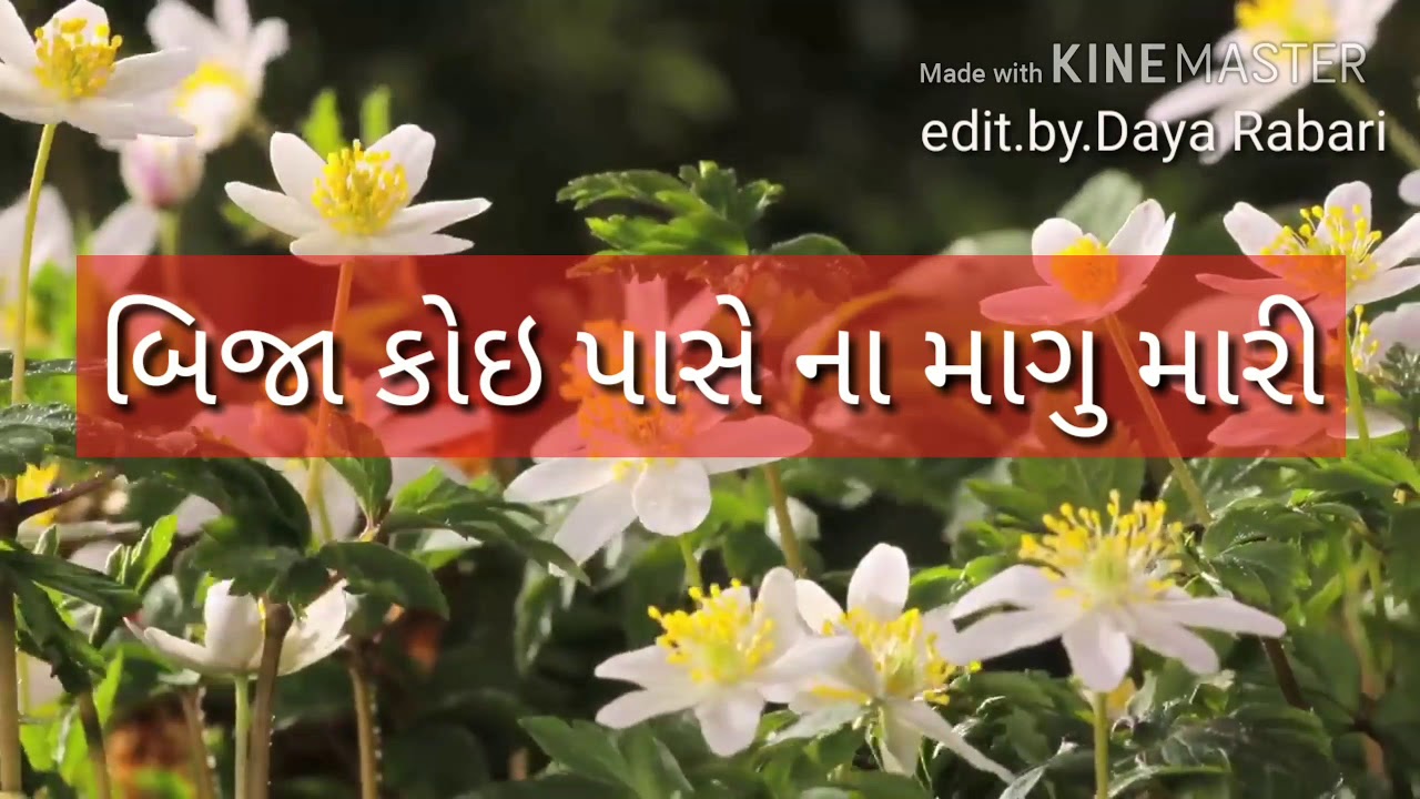 Amazing Gujarati whatsapp status tara par pure puro hak mari mata