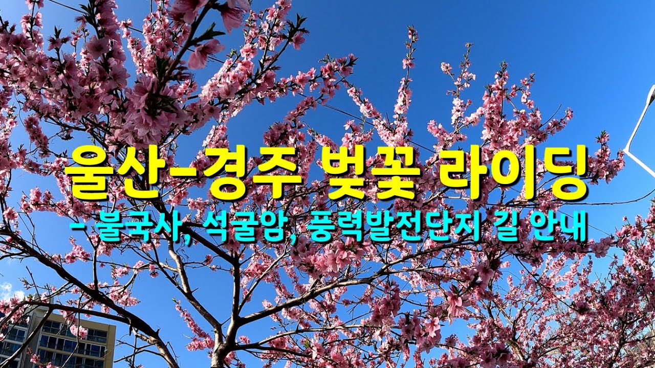 울산-경주 불국사 석굴암 풍력발전단지 길 안내