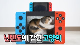 I Made Nintendo Switch for Cat with 3D Pen 【3D CAT Ep.34】 (ENG SUB)