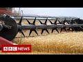 Russian invasion of Ukraine could cause global food crisis, UN warns - BBC News