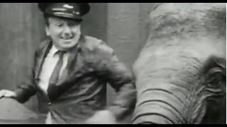 Goodbye Bristol Zoo - Animal Magic - Johnny Morris - BBCTV & BBC1 1962-83