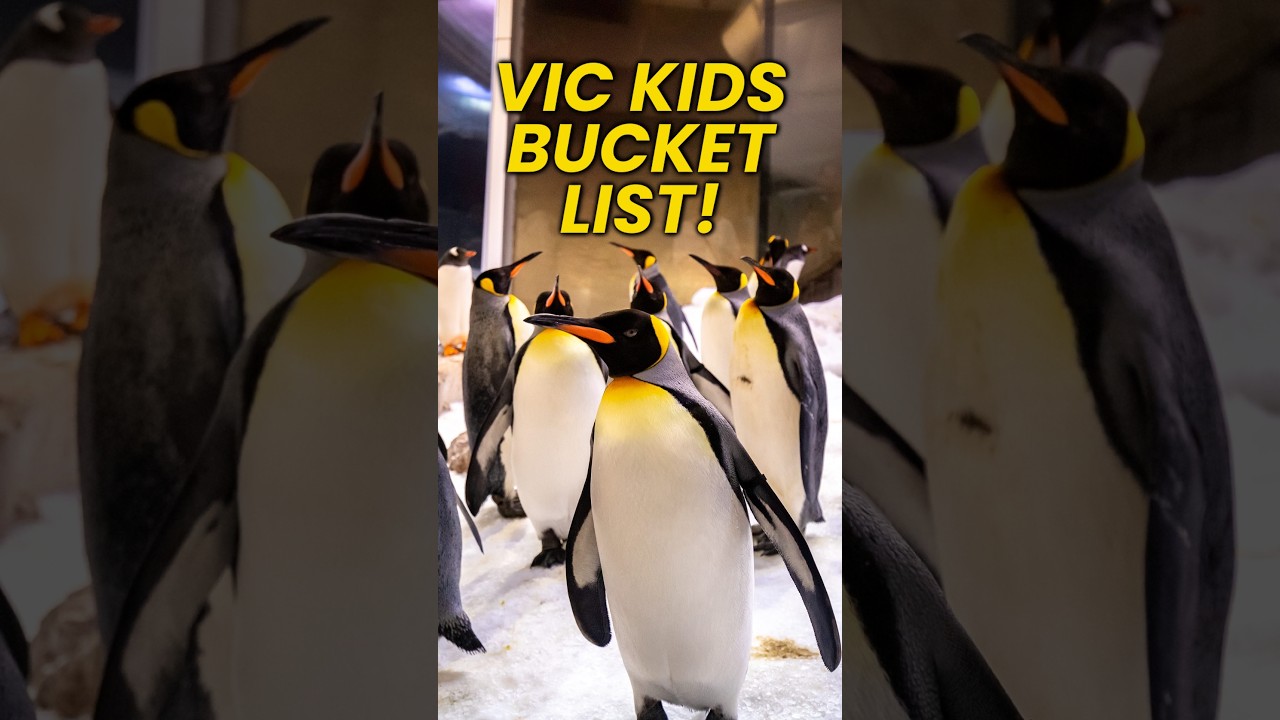 6 Must-Do School Holiday Ideas in Victoria! 🎒
