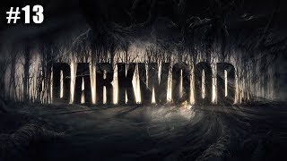 Darkwood (Ep. 13 – Day 14, Cottage)