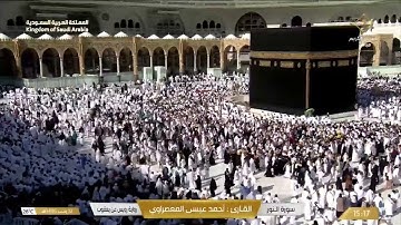 آيات من سورة النور "رواية رويس عن يعقوب".. تلاوة الشيخ أحمد عيسى المعصراوي