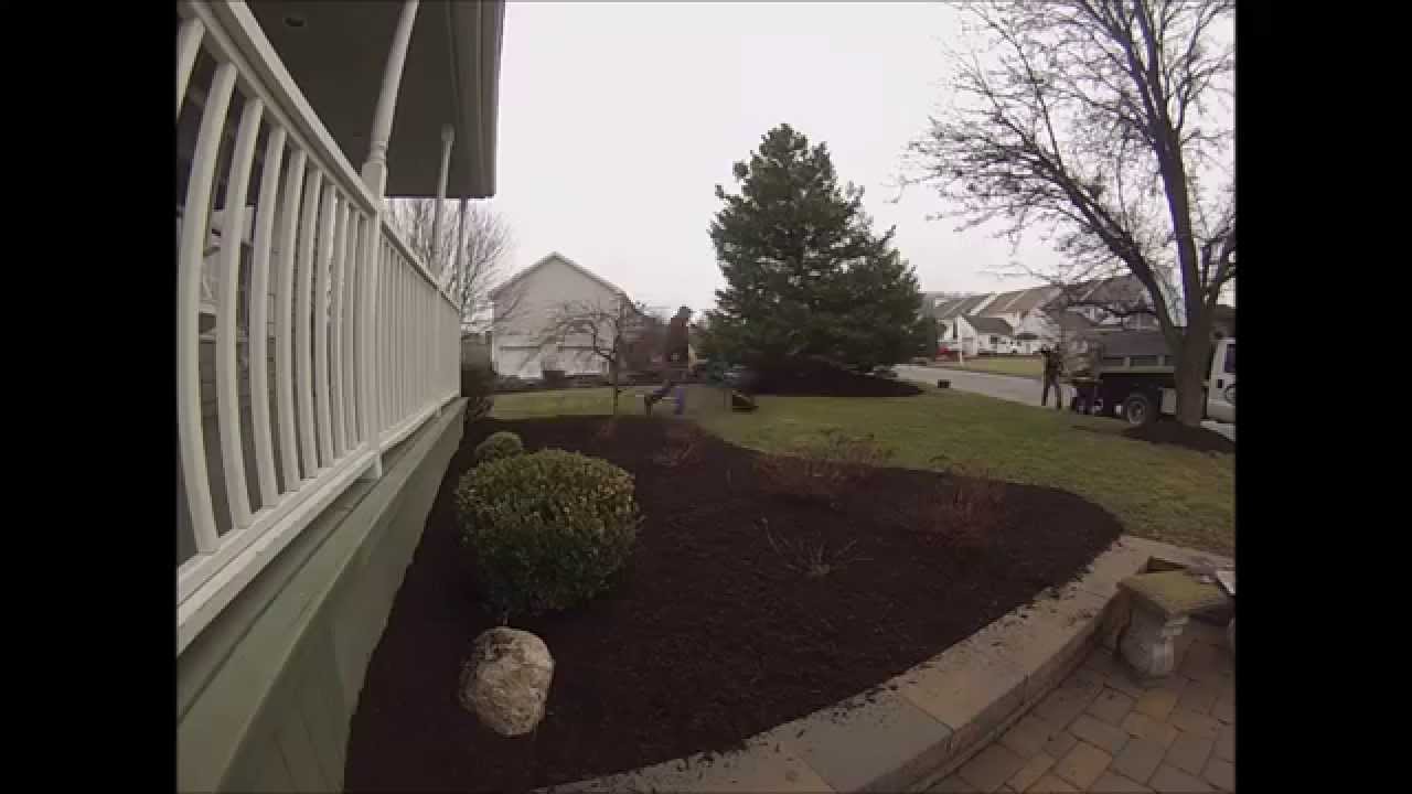 Spring Cleanup & Mulch Install YouTube
