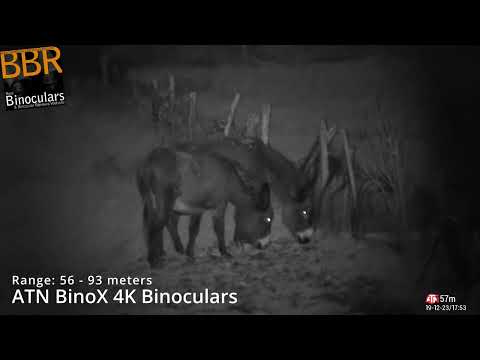 ATN Binox 4K Binoculars - Sample Video (Day & Night)